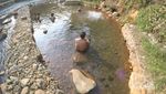 Sungai di Probolinggo Ini Punya Dua Mata Air