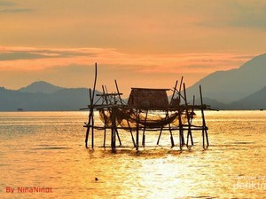 Sungai Raya, Sisi Lain Kalimantan yang Tak Kalah Eksotik
