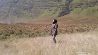 Bukit Teletubbies