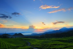 Sunrise di Kaki Tangkuban Perahu Tak Kalah dengan Bromo