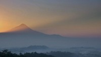 Bias sinar matahari pagi