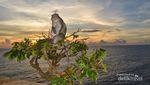 Sunset Cantik di Bali Ada di Pura Uluwatu