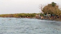 Berenang