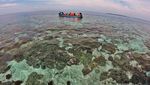 Surga Bawah Laut Halmahera Selatan