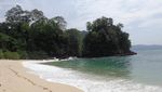 Surga di Banyuwangi Itu Bernama Teluk Hijau