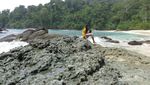 Surga di Banyuwangi Itu Bernama Teluk Hijau