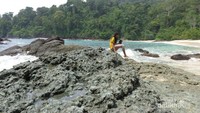 Berjemur di atas batu karang