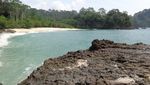 Surga di Banyuwangi Itu Bernama Teluk Hijau