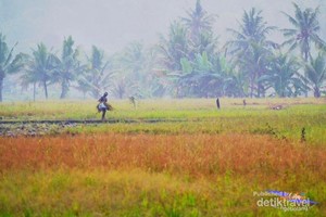 Surga Penuh Warna di Sawarna