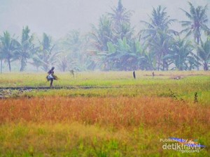 Surga Penuh Warna di Sawarna
