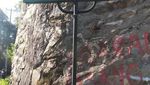 Surga Tersembunyi di Bandung Timur Seperti di Jurassic Park