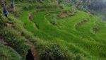 Surga Tersembunyi di Nglanggeran