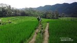 Surga Tersembunyi di Pemalang