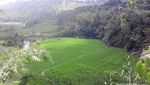 Surga Tersembunyi di Pemalang