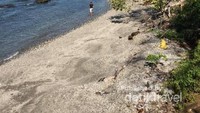 Pantai Kuako yang bersih dan berbatu, namun batu-batunya yang tidak tajam, sangat nyaman untuk di injak atau di tiduri.  Pantai cenderung sepi pengunjung dan bisa sepuasnya berenang disini, atau bisa juga hanya sekedar duduk-duduk
