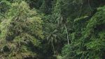 Surga Tersembunyi di Pulau Seram Utara
