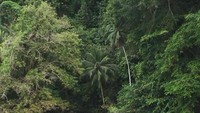 Pantai di dekat Air Belanda.