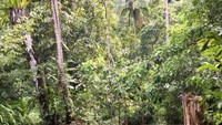 Air Belanda, merupakan sungai air tawar yang sangat dingin, dan mengalir ke laut.