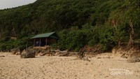 Keindahan Nyangnyang harus dibarengi dengan hijaunya tebing disekitar pantai
