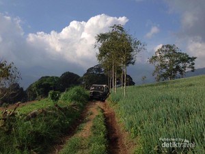Surga Tersembunyi Dibalik Macetnya Puncak