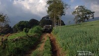 Trek Offroad yang dikelilingi perkebunan sayur milik warga