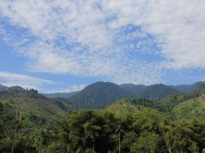 Surganya Pecinta Alam Ada di Taman Nasional Gunung Leuser
