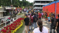 Sejak pintu masuk suasana nyaman, sejuk dan aneka warna bunga sudah menyapa pengunjung Taman Rekreasi Selecta.