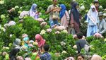 Surganya Pencinta Bunga di Jawa Timur