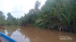 Susur Sungai Sampai Lihat Buaya di Muara Sebuhur, Kalsel