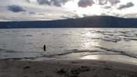 Cahaya matahari senja terpantul di atas Danau Toba
