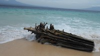 Kayu yang terdampar