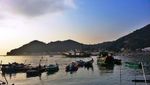 Tai O, Muara Angke-nya Hong Kong