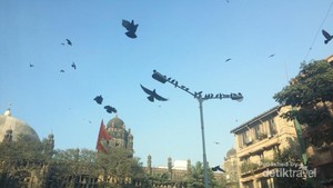 Taj Mahal, Mumbai dan Surganya Bollywood