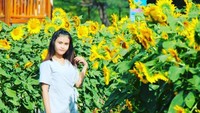 taman bunga