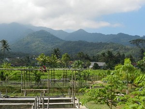 Tak Ada Toraja, Tasikmalaya pun Jadi!