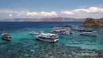 Tak Bisa Berkata-kata di Pantai Pink Komodo