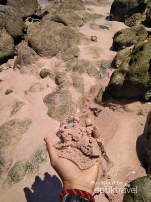 Tak Bisa Berkata-kata di Pantai Pink Komodo