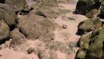 Tak Bisa Berkata-kata di Pantai Pink Komodo
