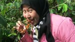 Tak Cuma Edelweiss, Alun-alun Suryakencana Juga Punya Arbei