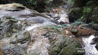 bebatuan tebing di lokasi