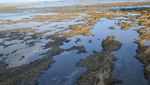 Tak Disangka, Garut Punya Pantai Seseksi Ini