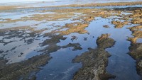 Pantai Berkarang Menghadap Samudra Hindia