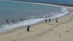 Tak Disangka, Garut Punya Pantai Seseksi Ini