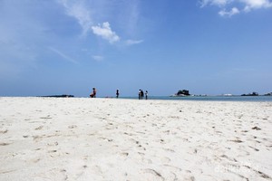 Tak Hanya Batu Granit, Pantai di Belitung Punya Bintang Laut