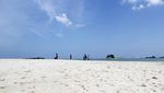 Tak Hanya Batu Granit, Pantai di Belitung Punya Bintang Laut
