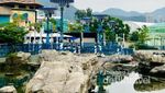 Tak Hanya Bermain, Ada Nilai Edukasi dari Ocean Park Hong Kong