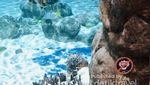 Tak Hanya Bermain, Ada Nilai Edukasi dari Ocean Park Hong Kong