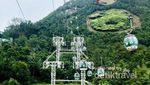 Tak Hanya Bermain, Ada Nilai Edukasi dari Ocean Park Hong Kong