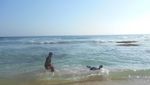 Tak Hanya Gua, Pacitan Juga Punya Pantai Unik