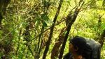 Tak Hanya Pantai, Aceh Juga Punya Gunung Kemiki yang Eksotis